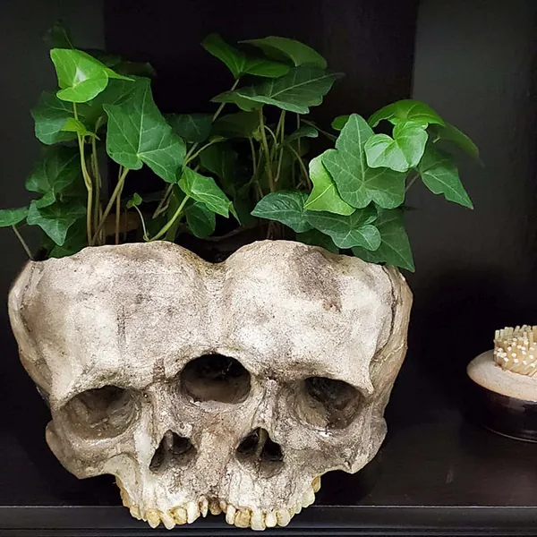 Skull Planter Pots for Indoor Plants, Skull Plant Pot Head Yard Art Outdoor and Garden Decor Outside Spring Skull Flower Pot for Home Decorations Birthday Gag Gifts Halloween (Double Skull) - Double Skull