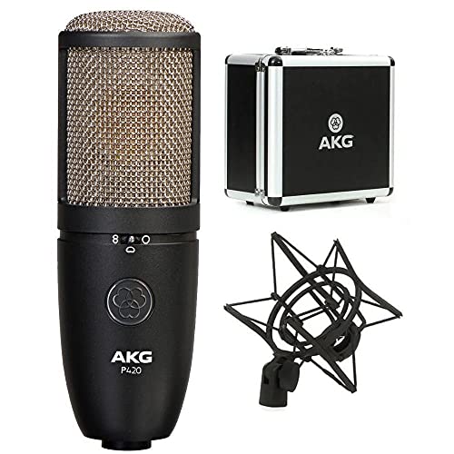 AKG Pro Audio P420 Dual Capsule Condenser Microphone, Black (3101H00430)