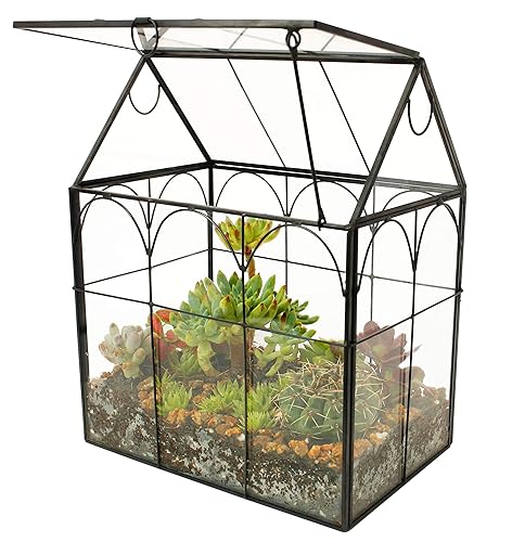 ELEGANTLIFE Glass Geometric Plant Terrarium,Succulent & Air Planter for Home Garden Office Decoration (Black House) - House - Black House