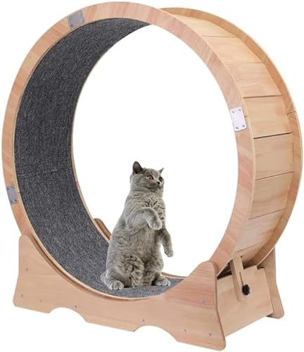 Cat Exercise Wheel Indoor Treadmill Small Animals Exercise Wheels ，cat Runway, Fitness Weight Loss Device，Cat Running Wheel ，Pet Toy ，Large-Sized cat Wheel (Extra Large) - Extra Large
