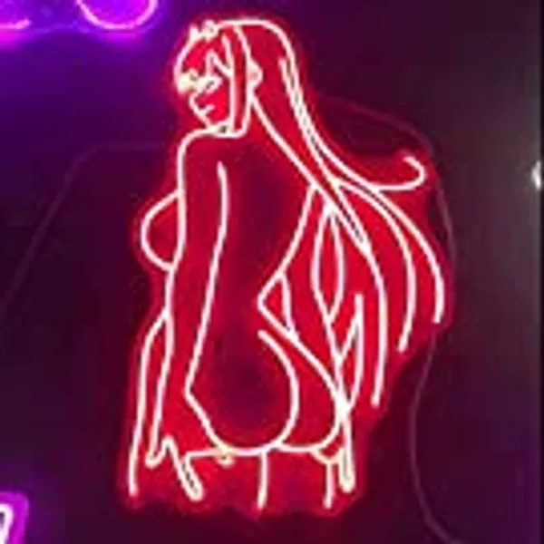 Custom led Zero Two Girl Anime Neon Sign Indoor Wall Lights Wedding Event Party Decoration Shop Indoor Restaurant Christmas Gift Height；60x36cm…