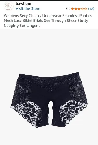 Womens Sexy Cheeky Underwear Seamless Panties Mesh Lace Bikini Briefs See Through Sheer Slutty Naughty Sex Lingerie