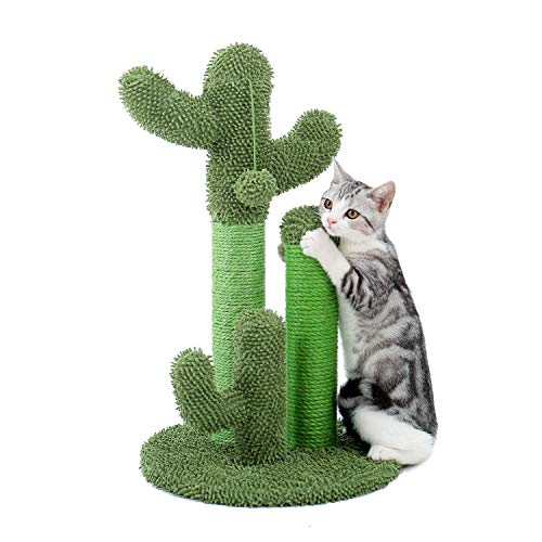 PAWZ Road Cactus Cat Scratching Post with Natural Sisal Ropes, Interactive Ball, Cat Scratcher for Cats and Kittens Green - M (Pack of 1) - Green M