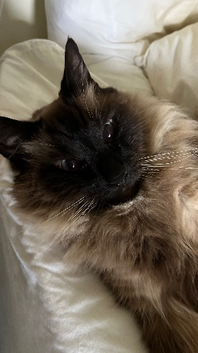 Under Jeff’s love spell 