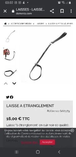 Laisse à étranglement 