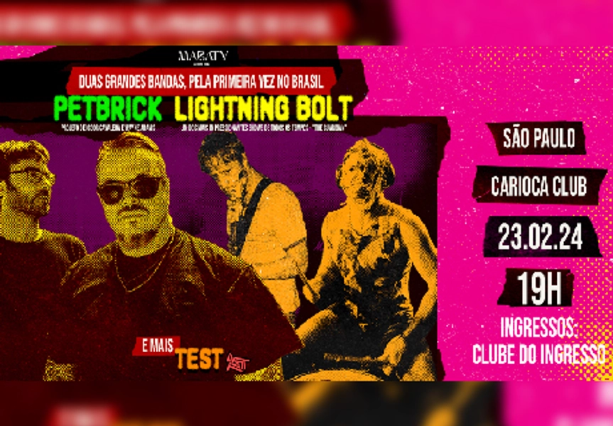 Petbrick & Lightning Bolt