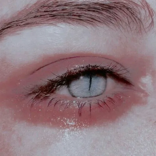 Fantasy Contac Lenses