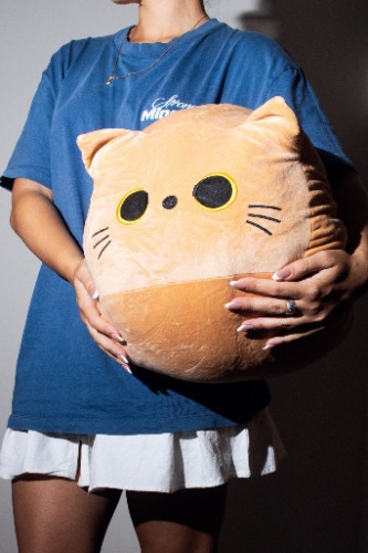 Brownie - Cute Cat Head Plush (Brown) - 30cm