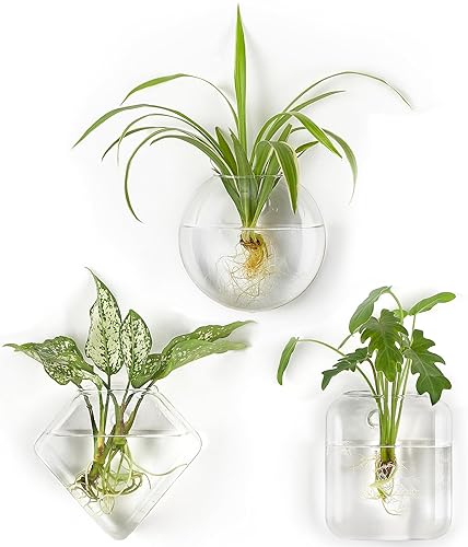 Mkono Wall Planter Propagation Stations Hanging Glass Terrariums Vase Container for Propagating Hydroponic Plants Flowers Home Office Living Room Bathroom Garden Decor, 3 Pack