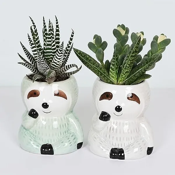 Mumutie Cute Sloth Succulent Planter - Ceramic Cartoon Pot with Drainage Hole - Adorable Windowsill Decoration - Ideal for Cactus and Succulents