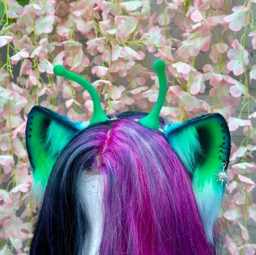 Alien cat ears