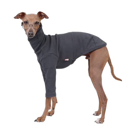 D DOGGY STAR Italian Greyhound Clothes Flexible T Shirts Whippet for Dogs (M,Solid Dark Grey) - M - Chest 16.54" / 11.2 lb - SOLID DARK GREY