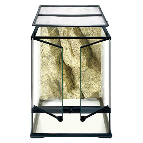 Exo Terra Glass Natural Terrarium Kit, for Reptiles and Amphibians, Small Tall, 18 x 18 x 24 Inches, PT2607A1 - Tall, 60 cm
