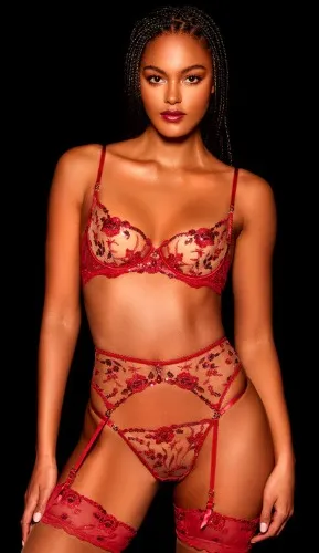 https://eu.honeybirdette.com/collections/whitney-lingerie-collection