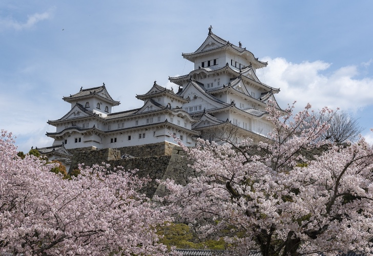 Dream vacation to Japan (any contribution amount is appreciated!)