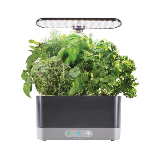AeroGarden Harvest XL with Gourmet Herbs Seed Pod Kit - Indoor Garden with LED Grow Light, Black - Harvest XL Black