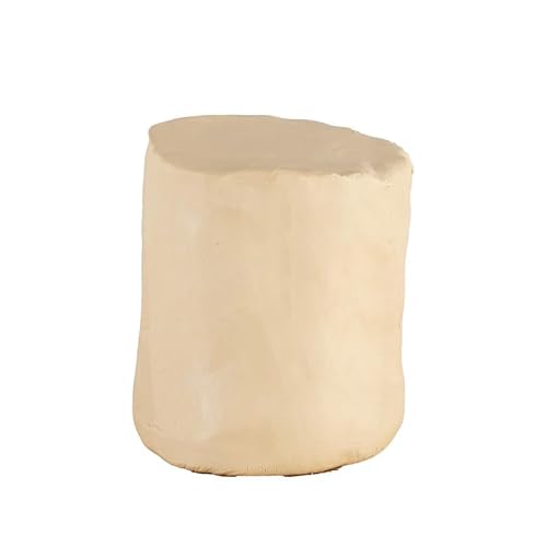 Deouss Low Fire Pottery Clay White,20 lbs (Cones 04-3) Art Modeling Clay for Wheel Throwing,Firing and Hand Building,Moist De-Aired Pottery Clay for Sculpting,Beginners and Advanced - 20 lbs - White pottery