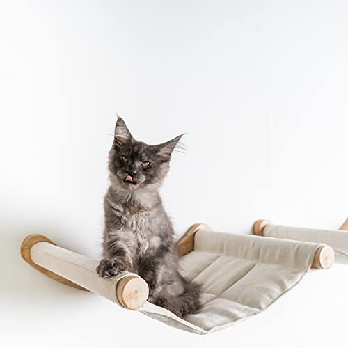 RHRQuality Katzen Kletterwand Hängematte für große Katzen - Beige