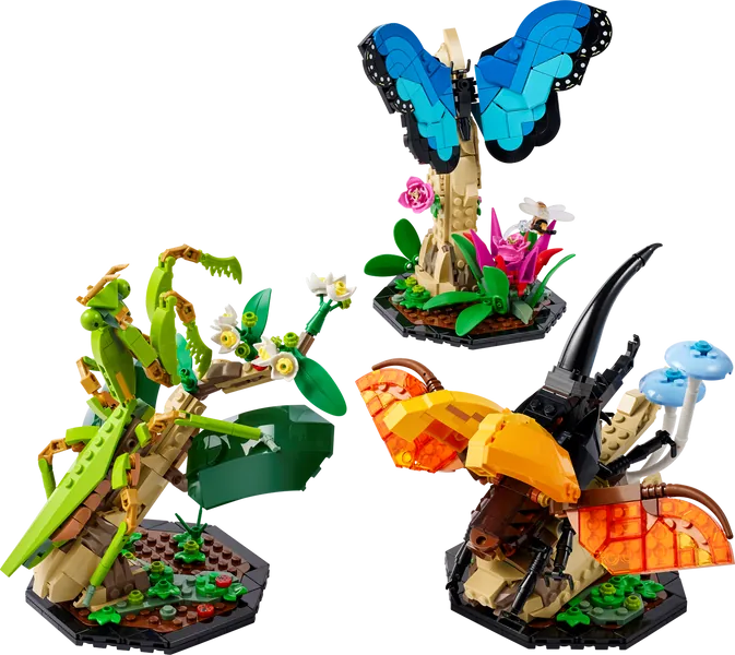 Die Insektensammlung 21342 | Ideas | Offizieller LEGO® Shop CH 