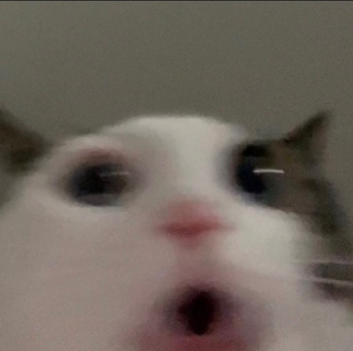 big tip for content supplies