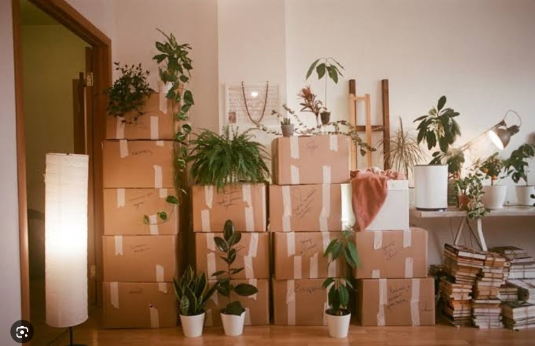 Contribute towards my relocation 