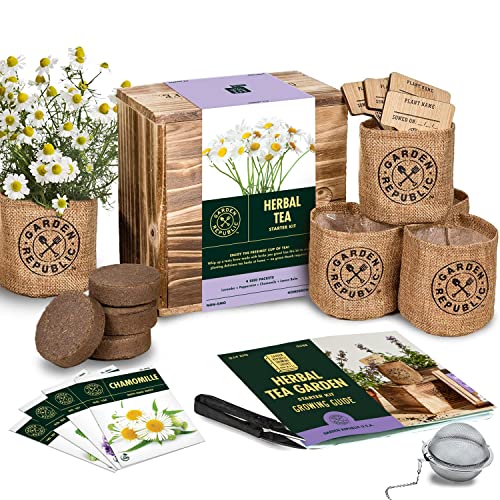 Indoor Herb Garden Seed Starter Kit - Herbal Tea Growing Kits, Grow Medicinal Herbs Indoors, Seeds for Planting, Soil, Plant Markers, Pots, Infuser, Planter Box, Gardening Gifts for Women - Herbal Tea Starter Kit