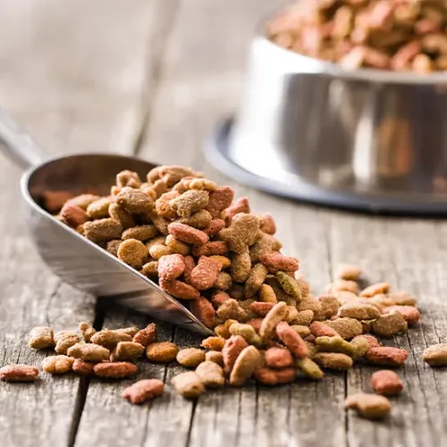 My Dog's Food - worth $100