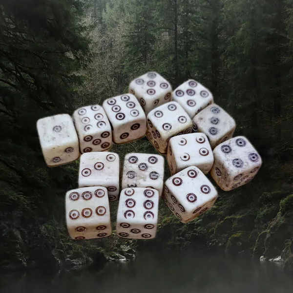 REAL BONE DICE :3