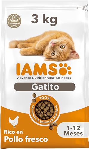 IAMS Alimento seco para gatitos de 1-12 meses con pollo fresco, 3 kg - Pollo - 3 kg (Paquete de 1)
