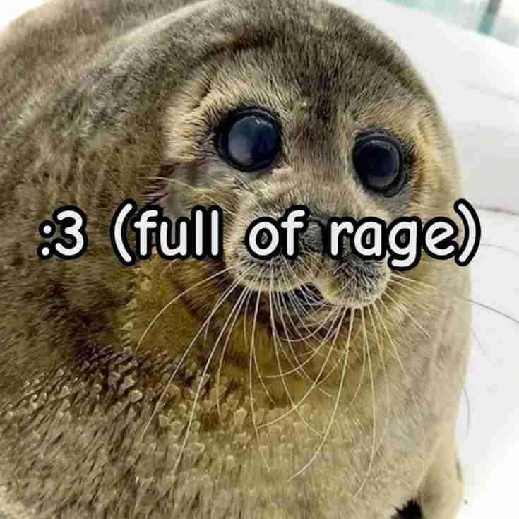 a 99 gallon jug of gasoline and dishsoap