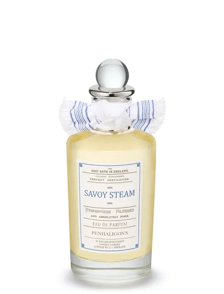 SAVOY STEAM