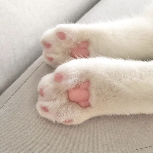 Because you’re a man 