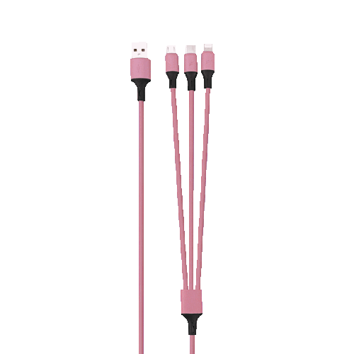 Rainbow 3-Port Long Charging Cable (4ft) - Pink