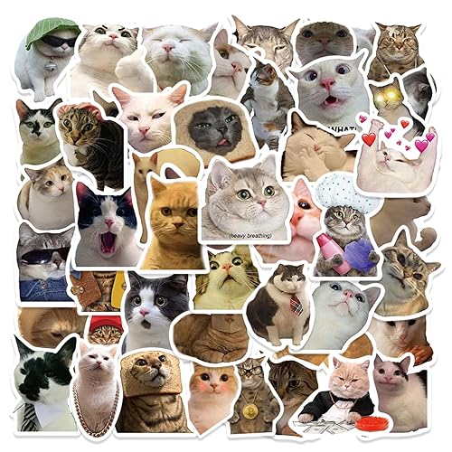 Piedad 50Pcs Cute Cat Stickers, Funny Meme Stickers for Laptop Water Bottle Kinde, Cat Stuff for Cat Lovers, Waterproof Vinyl Stickers for Adult Teens Kids, Cat Supplies - 50 Cat Stickers