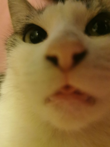 Don’t go broke girly!