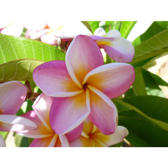 Treat me 🫶🏽💓