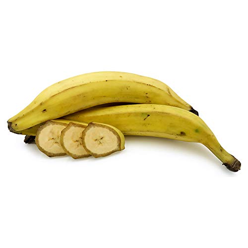 Ripe Plantain (Pack of 10) - 10 Count (Pack of 1)