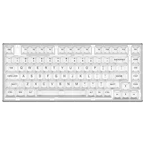 YUNZII X75 82 Key Hot Swappable Mechanical Keyboard with Transparent Keycaps, Gasket Mount 75 Keyboard, RGB Backlit Custom Gaming Keyboard for Windows/Mac (Crystal Ice Switch, Wired-White) - Crystal Ice Switch - Wired -White