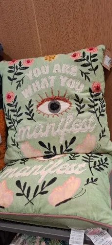Manifest Cushions 💕 