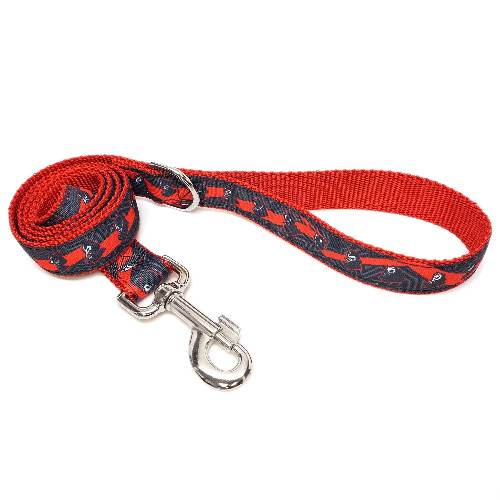 Phantom Thieves Leash