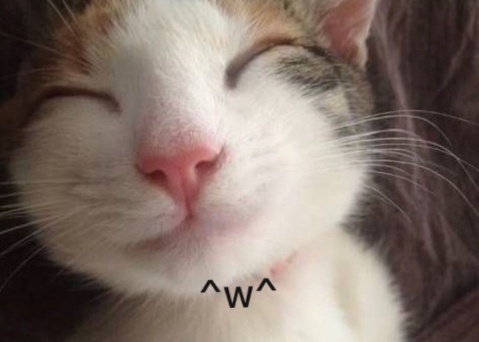 100€ kittyyyy