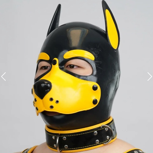 Furrjoi Pup hood 🐶