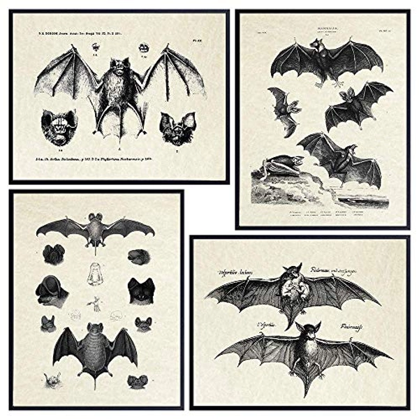 Bats Wall Decor - Vintage Retro Hipster Goth Art, Home or Room Decoration - Gift for Gothic, Horror, Vampire Fans - 8x10 UNFRAMED Creepy Scary Anatomical Picture Poster Print Set