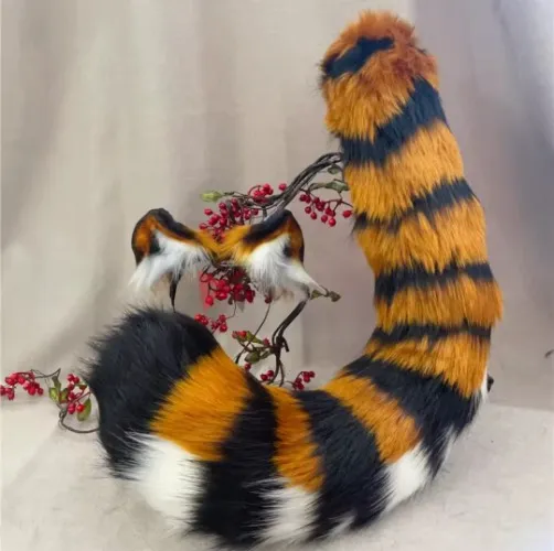 Tigerrrr tail and ears