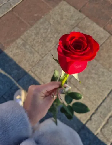 Because I like long roses