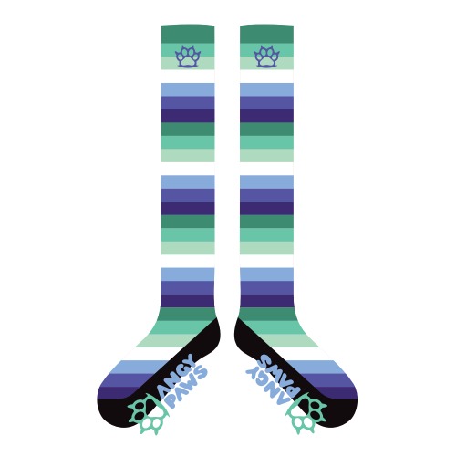 MLM (Gay) Pride Sockies