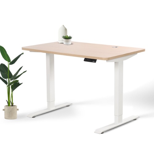 Home Office Standing Desk - S (47" × 29") / White / Oak Wood