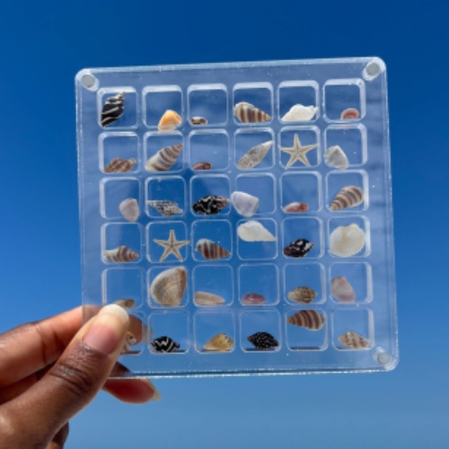 SeaShell Display Case (36 Grid) | Default Title
