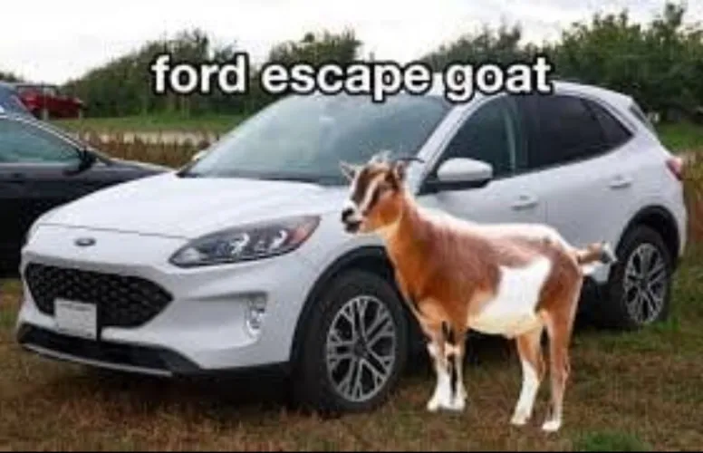 ESCAPE GOAT