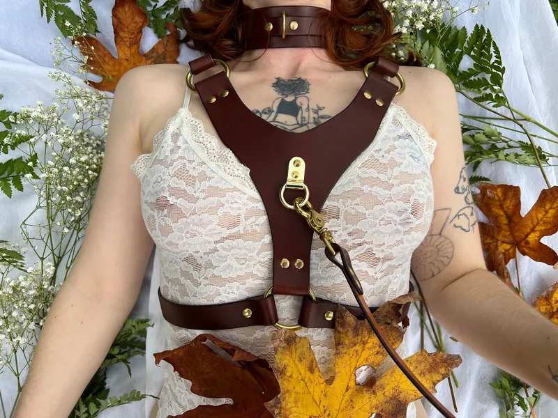 The Puppy Training Harness